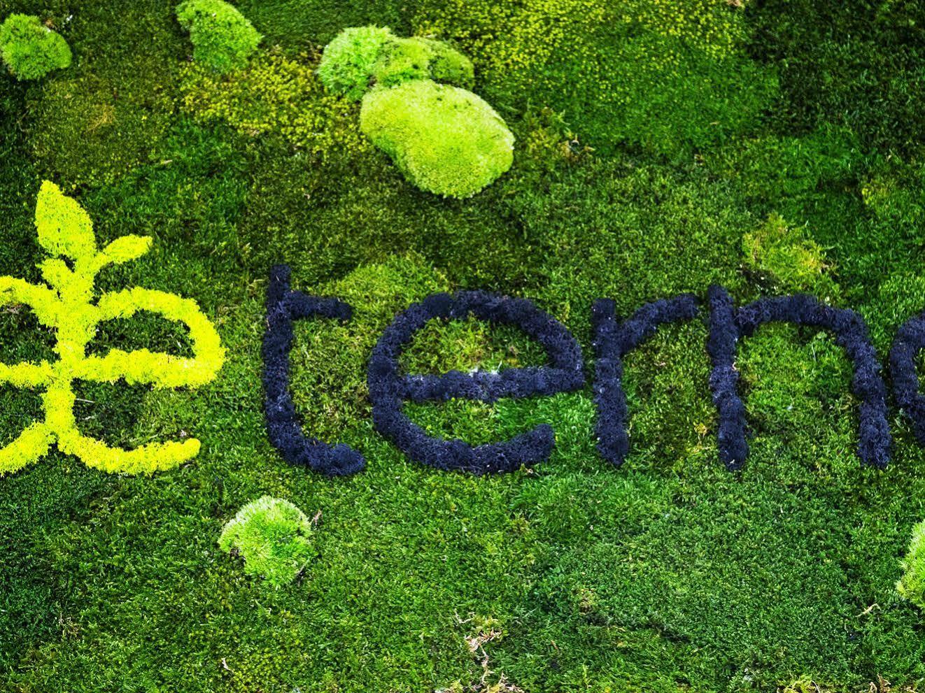 Aeterno Eco Guest House Ρώμη Εξωτερικό φωτογραφία